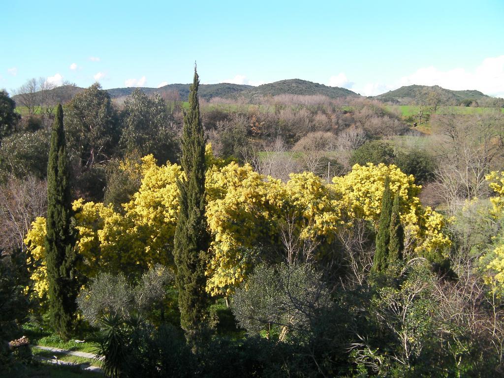 Casale Del Tiglio Bed and Breakfast Cerveteri Pokój zdjęcie