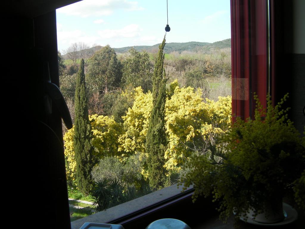 Casale Del Tiglio Bed and Breakfast Cerveteri Pokój zdjęcie